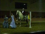 Spectacle chevaux espagnol