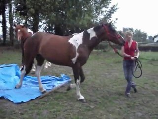 passage bache pour indiana