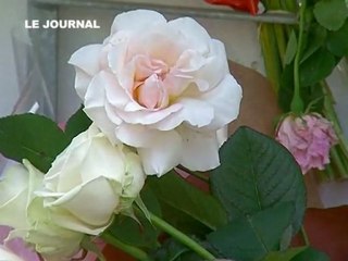 Xavier Dupont de Ligonnès s'est-il suicidé? (Nantes)