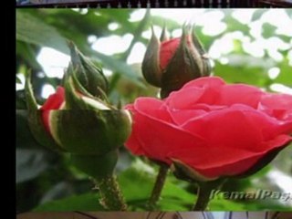 Huzura Doğru Mirac Kandili