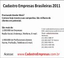 Cadastro de Empresas Brasileiras 2011
