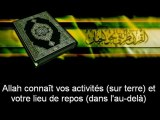 *Sourate Mouhammad* Récitation Manifique par Sheikh Saoud Shuraim