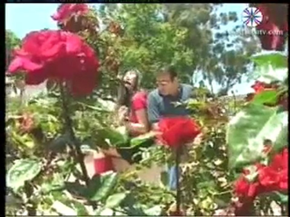اغاني سورث - جوليانا جندو   عصام عربو - براتا حليثا