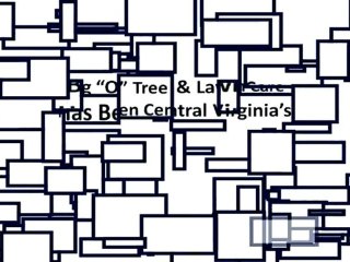 Trees Lexington VA||Bugs|Emerald Ash Borer