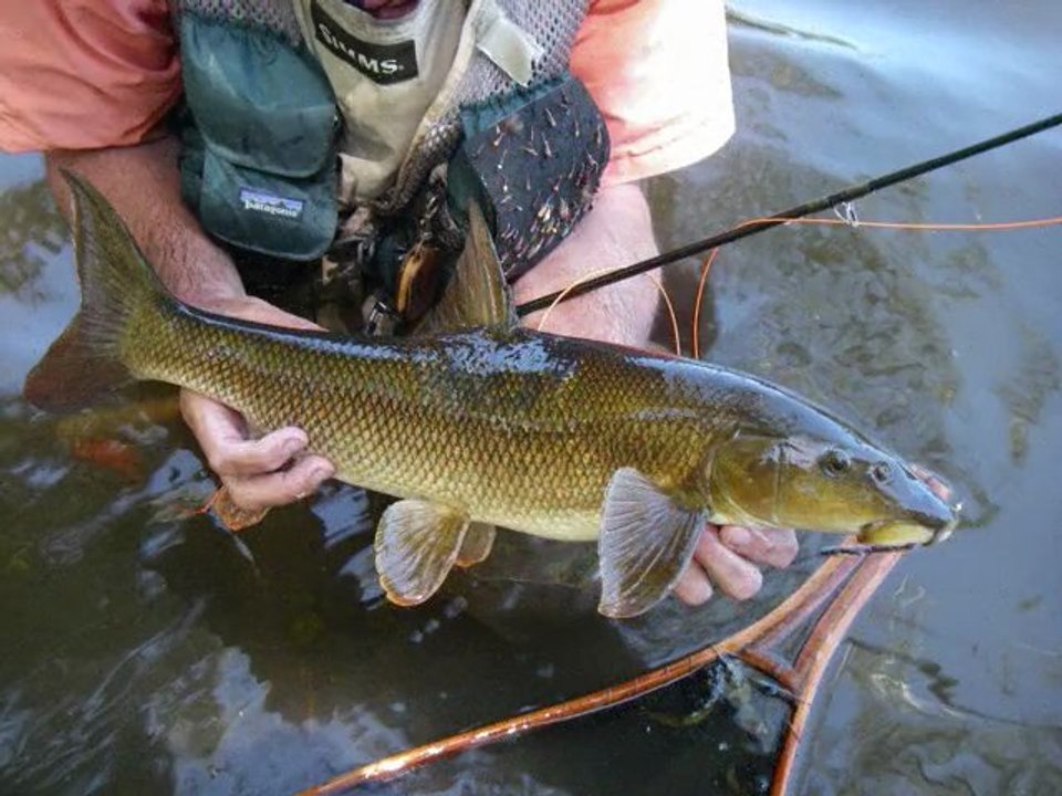 Remise barbeau Dordogne