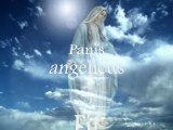Panis Angelicus Karaoke Version