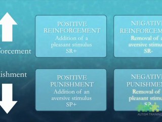 Reinforcement - Autitsm Training Solutions, Autism