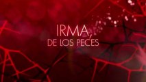 Trailer 'Canal 5' Irma, de los Peces Mujeres Asesinas 3
