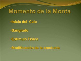 Ciclo-Estral-del-Pastor-Aleman