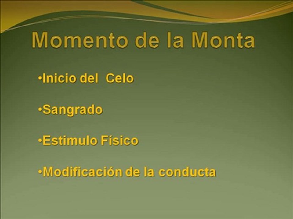 Ciclo-Estral-del-Pastor-Aleman