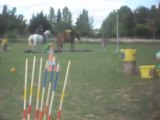 poney-club, pony-games 1) 25/06/2011 SDC10625
