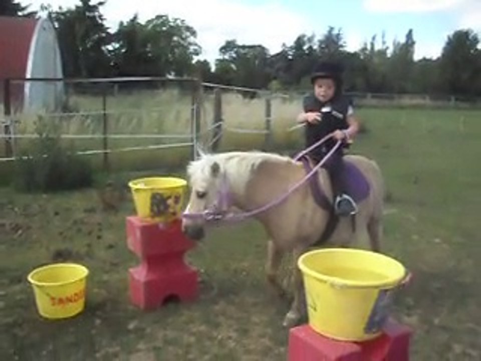 Poney-club, mini pony-games 2) 25/06/2011