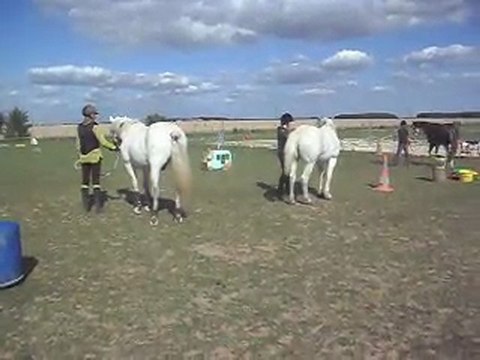 Poney-club. Les chevaux en main 1) 25/06/2011. SDC10635