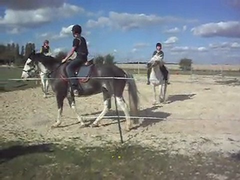 Poney-club. Les chevaux montés. Carrousel 1) 25/06/11. 1SDC10638