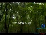 Man Vs Wild - 28th June 2011 Video Watch Online p2
