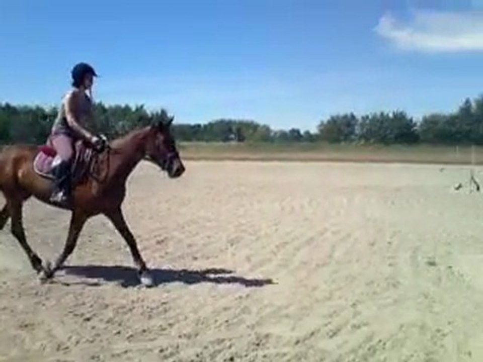 1er vertical ok
