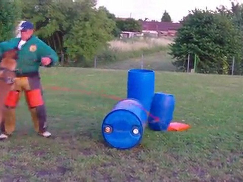 vaikvaik 062