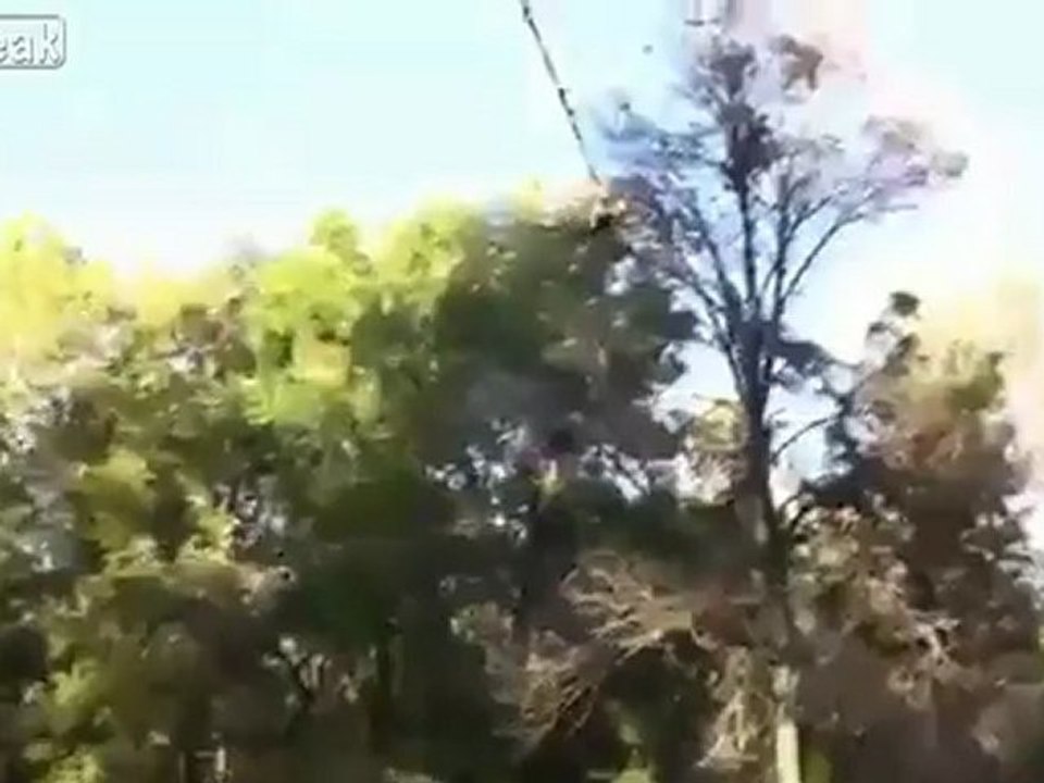 Ich liebe Amerikaner!