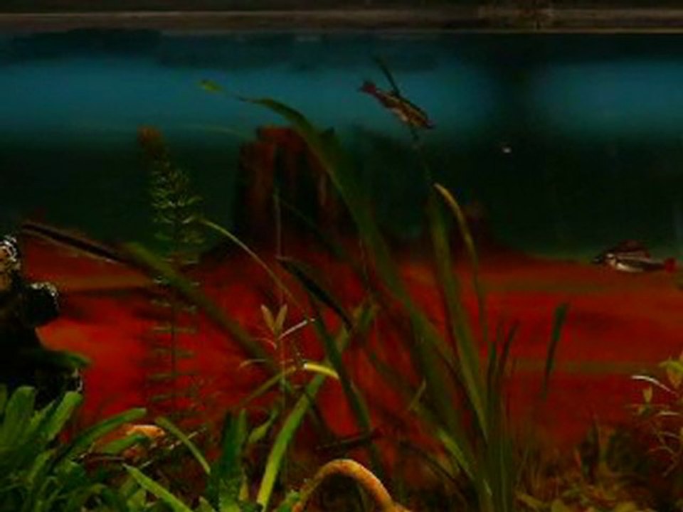 mélodie (je tiens très fort à toi)  27,7Mo