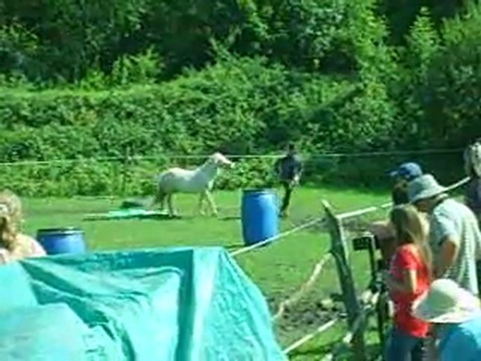 cirque de floflo et vanille