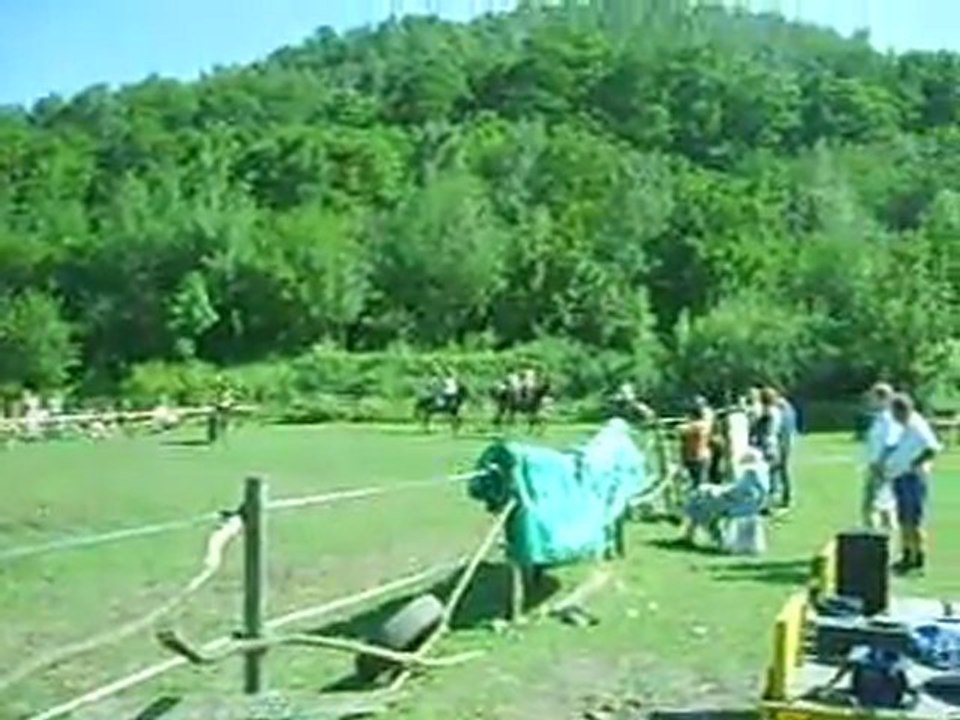 reprise en musique premier groupe