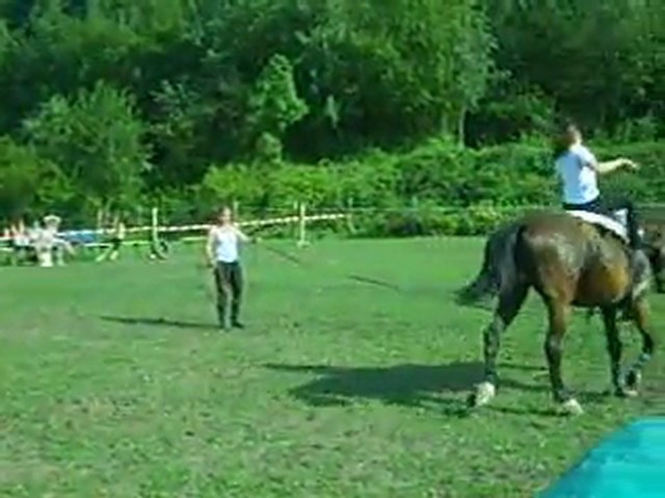 voltige de cloture avec lori et cheyenne