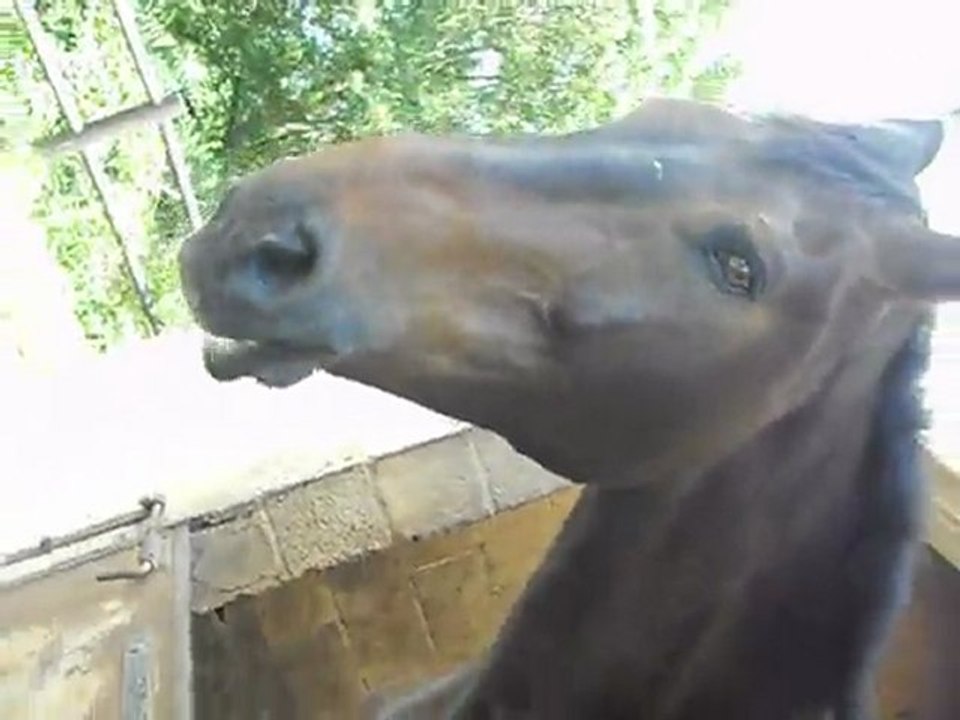 Monsieur...un bruit bizarre...