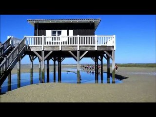 L'île aux oiseaux - Bassin d'Arcachon
