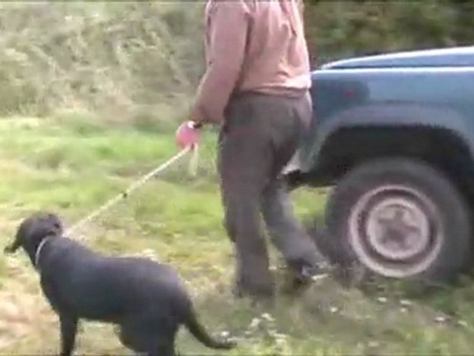 Av Köpeği SİLAH SESİ EĞİTİMİ BÖLÜM2 durustavci.com