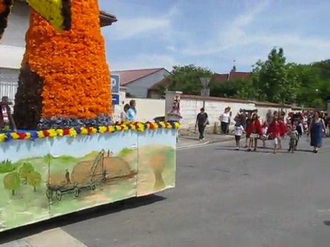 20110612 : Saint Martinades 2011 : 07 : Défilé des chars 01