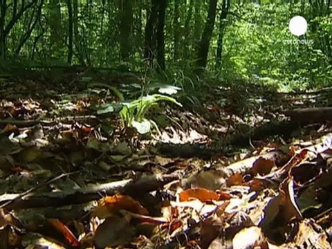 Unesco: altri 25 siti Patrimonio dell'umanità