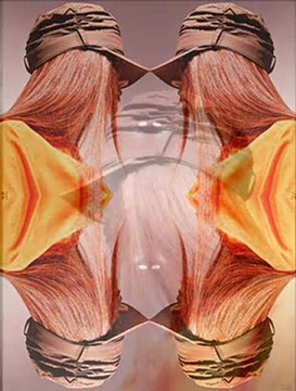 Black-Holiday ( Ballade de sophia ) sur un montage de Léna vita