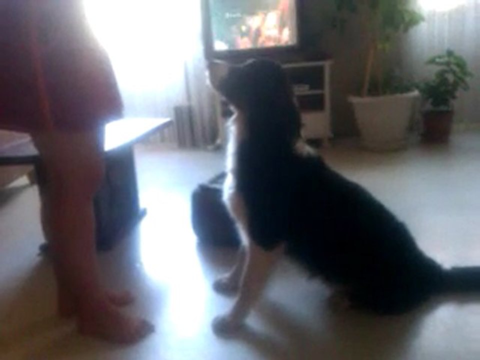 VIDEO0003