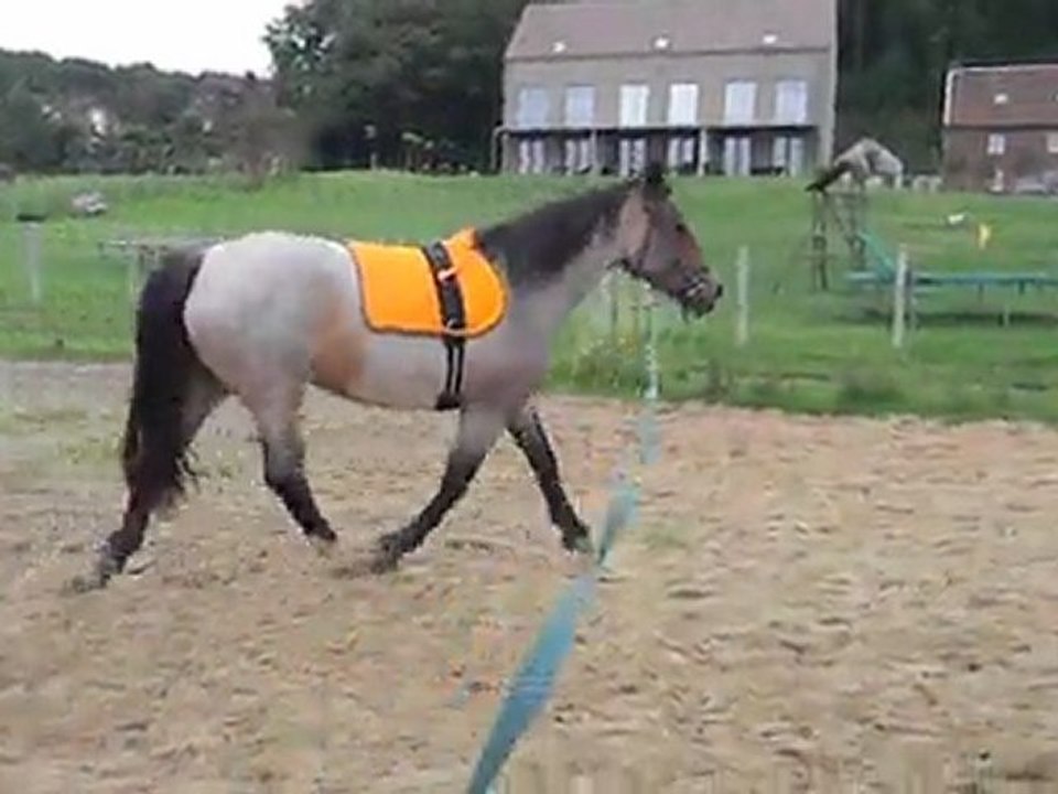 29 juin 11 006