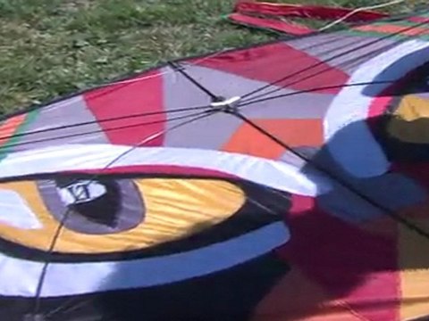 Le festival des cerfs-volants du monde à Marines