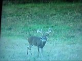 Wisconsin Deer Hunts