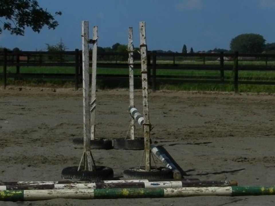 Saut 75cm avec Queen.