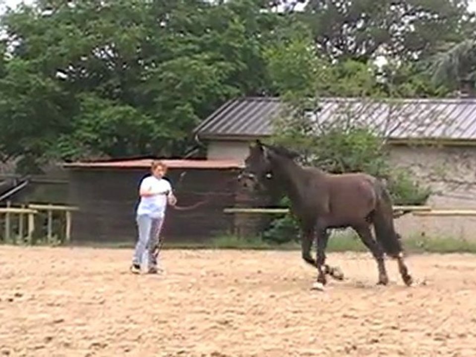 MOV028