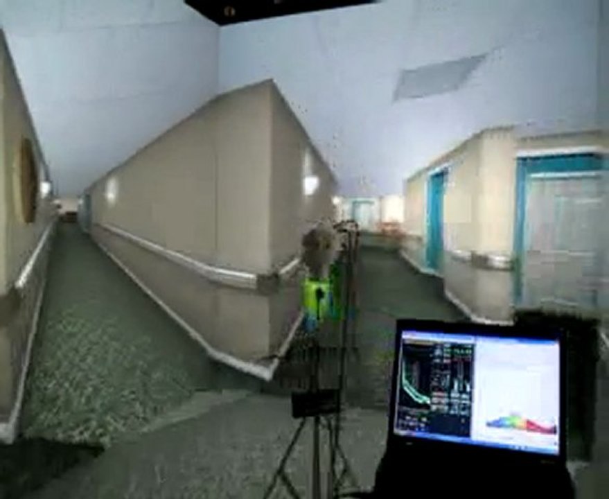 Walking Through the Virtual Reality Cave With the Jaz Spectrometer
