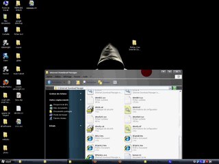 Tutorial Internet download manager 6.06 build 8 +Make money at home