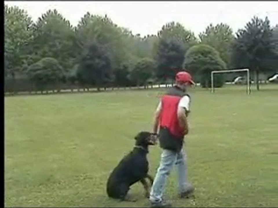 daicko obe 29 06 2011 3 ans