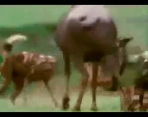 Никогда не здавайся