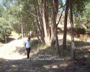 Sefer Güler. İşte Gidiyorum Çeşm-i Siyahım