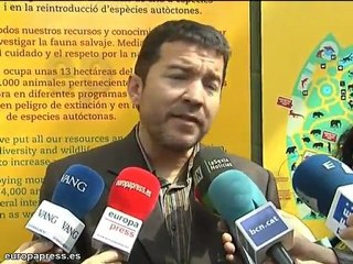 Lobas, localizadas y capturadas en Barcelona