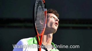 watch Wimbledon Semi Finals tennis tournament