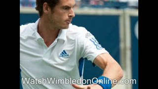 watch live Wimbledon Semi Finals online