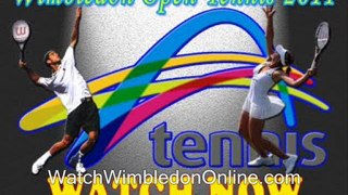 watch Wimbledon Semi Finals 2011 paris online