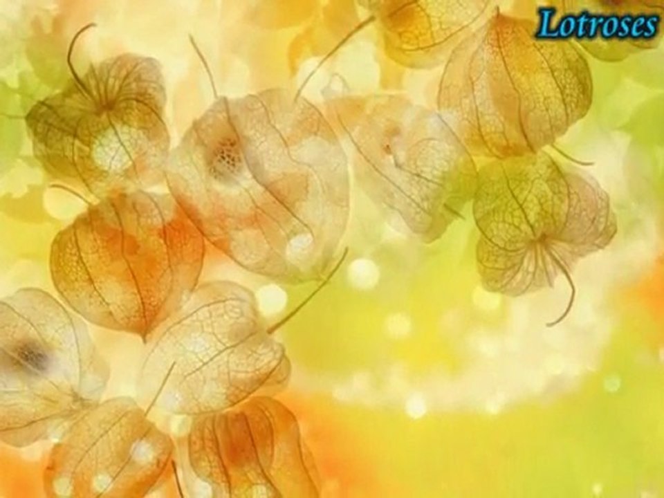 Ah Nice Uyursun-Kervansaray [NeY]