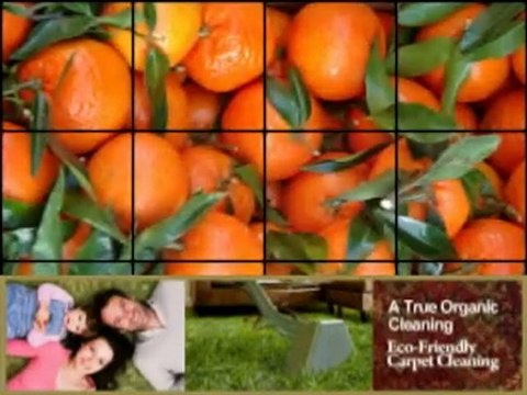 NY Carpet Cleaning 212-228-6300