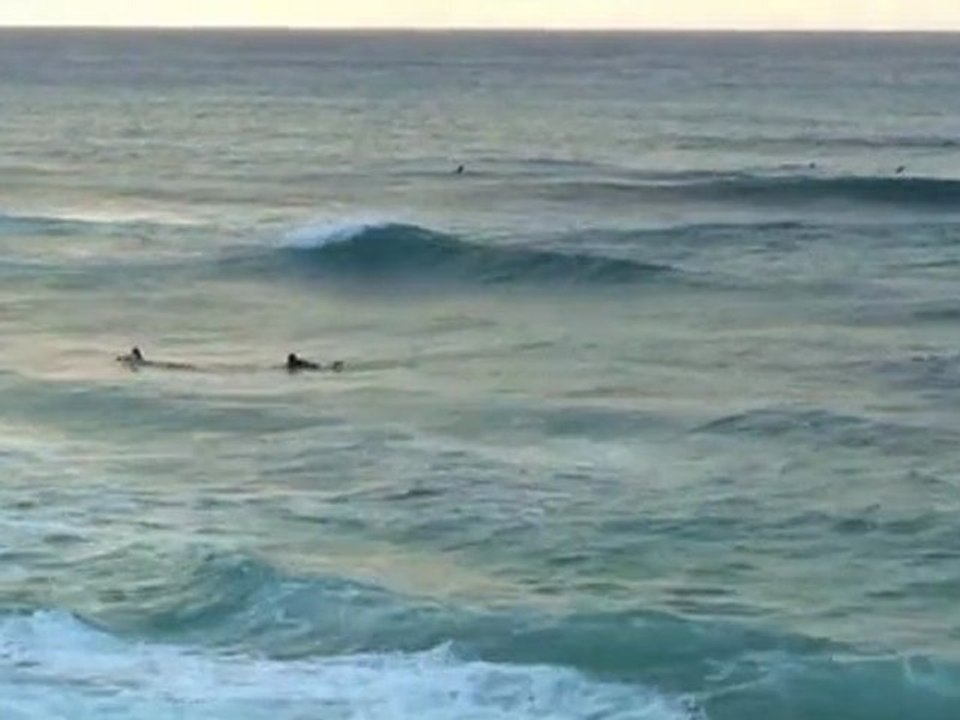 Surfing Techniques: What To Do In A Rip Current